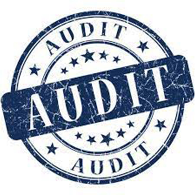 Audits